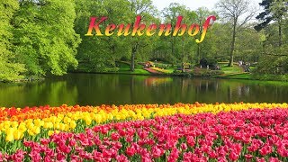 Keukenhof 2018 [upl. by Isnyl]