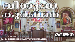 Malankara Catholic Qurbana4 FEB 2024Fr PHILIPOSE CHARIVUPURAYIDATHILMALAYALAM MASS TODAYGOODNESS [upl. by Mcgrody186]