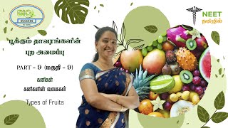 Morphology of Flowering plants  Part 9  Fruits  Types of Fruits  NEET Biology  NEET Tamil [upl. by Aydiv]