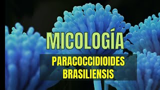 PARACOCCIDIOIDES Brasiliensis  Micología tema 8  MicroBacter [upl. by Martijn823]