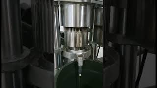 hydraulic oil press machine cold press sacha inchi seeds oil coldpressoilmachineoilpresser [upl. by Ynwat48]