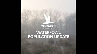 2023 Waterfowl Breeding Population  Part 1 [upl. by Stegman318]