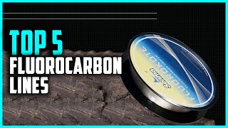 Best Fluorocarbon Line 2024  Top 5 Fluorocarbon Line for Spinning Reels [upl. by Leinaj]