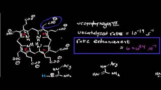 Biochemistry  Uroporphyrinogen Decarboxylase Mechanism [upl. by Funda]