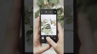 Master Mobile Macro Photography in 60secs macrophotography mobilephotography [upl. by Artnoed]