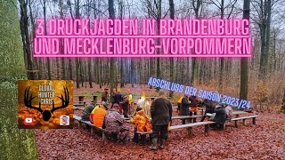 3 Drückjagden in Brandenburg und MecklenburgVorpommern  DrückjagdJournal Folge 823 [upl. by Anirbaz]