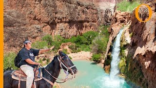 Havasupai tribe Native American Indian guardians of the Grand Canyon [upl. by Adnahcir675]