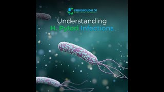 The Dangers of Hpylori How to Protect Yourself Hpylori [upl. by Aiciled269]