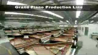 Sejung Piano Factory Tour [upl. by Feingold]