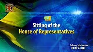 Sitting of the House of Representatives  September 17 2024 [upl. by Ayrotal686]