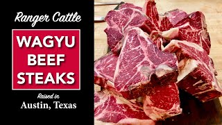 Best Japanese Wagyu Beef Steaks • OPT FOOD Ranger Cattle [upl. by Mirilla]