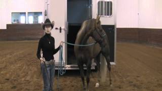 Stacy Westfall horse training lesson with Twilite Trailers  Part 2 [upl. by Mccormac]