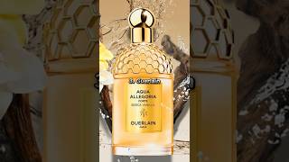 Top 10 Perfume Brands In The World 2024  shorts perfume chanel brand [upl. by Dasteel]