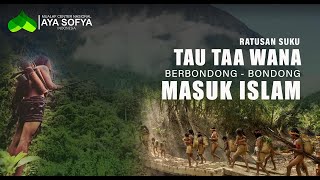 300 ORANG SUKU TAU TAA WANA BERBONDONGBONDONG MASUK ISLAM [upl. by Laidlaw]