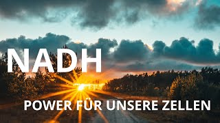 NADH  Power für unsere Zellen [upl. by Nyladnohr]