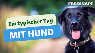 Alltag mit Hund  Leben mit Haustier  FRESSNAPF [upl. by Falzetta809]