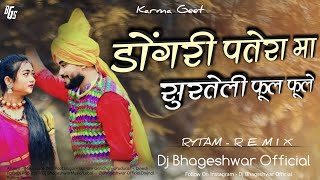 Dj Bhageshwar Mandla  Dongri Patera Ma Surteli Phool phole डोंगरी पतेरा मा  Cg Dj Song  dj [upl. by Cristal]