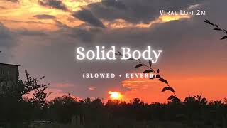 Solid Body Lofi Song  Slowed  Reverb Sheenam Katlic Raju Punjabi Haryanvi Song lofi 3dsong [upl. by Chrysler]