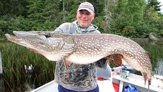 Giant Pike Of Lake St Joseph [upl. by Yung]