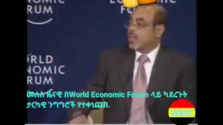 Meles Zenawi historic speech on World Economic Forum [upl. by Avilla]