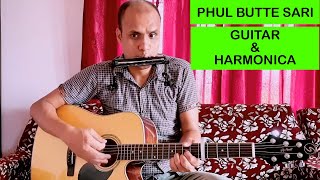 Phul Butte Sari  Harmonica amp Guitar [upl. by Shandeigh607]