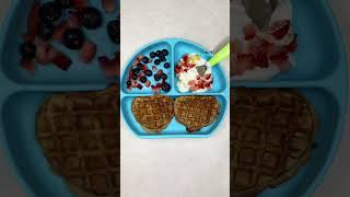 Ideas de desayuno fáciles para bebés de 1 año Waffles de avena y pera 🍐yoghurt con fresa blw mom [upl. by Henden23]