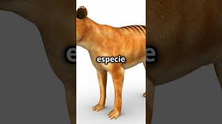 quot5 Animales Extintos que Te Sorprenderán 🌍🦣quotcurioso shortviral [upl. by Wilfred]