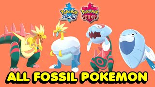 How To Get All 4 Fossil Pokemon In Pokemon Sword amp Shield [upl. by Now]