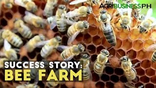 Bee Farming Success Story  Milea Bee Farming  Agribusiness Philippines [upl. by Netsrak]