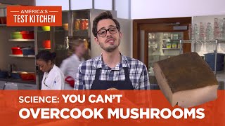 Dan Explains Why You Cant Overcook Mushrooms [upl. by Larentia16]