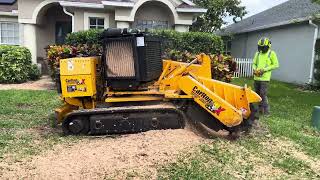 400 Oak Stump in 7 Minutes Carlton 7015 TRX Stump Grinding [upl. by Brackett177]