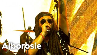 Alborosie  live at Lowlands 2023 [upl. by Nahsez]