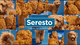 Seresto™ Cuidado com as falsificações [upl. by Daugherty]