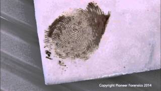 Amido Black 10B Process for Bloody Fingerprints [upl. by Yanal]