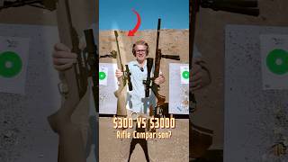 300 VS 3000 Rifle Does It ACTUALLY Shoot Better [upl. by Ymer]