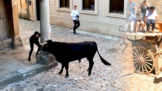 Toros Bravos San Felices De Los Gallegos 2022 La Plaza que sigue conservando su antigua tradición [upl. by Maze]