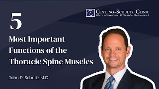 Thoracic Spine Muscles 5 Most Important Functions of the Thoracic Spine Muscles [upl. by Scornik]