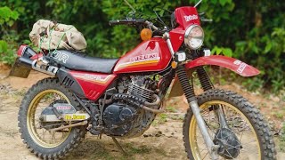 SUZUKI DR250S 1982 DR250s suzukiDR1982 [upl. by Sirehc19]