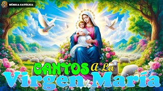 CANTOS A LA VIRGEN MARÍA PARA PEDIR UN MILAGRO🙏 Música para el Alma Católica [upl. by Elagibba97]