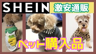 激安人気通販サイトSHEIN購入品ペット用品犬猫の可愛い服や小物がいっぱい [upl. by Awe]