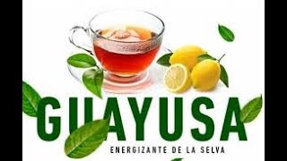 Los beneficios de la Guayusa sube tu energíacomo consumir la bebida prepara ya 2024 [upl. by Brenza]