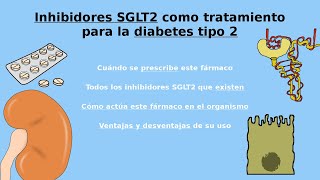 Inhibidores SGLT2 para tratamiento diabetes tipo 2 Mecanismo de acción del medicamento Diabetes AIB [upl. by Hrutkay]