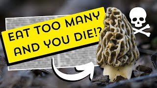 Debunking this NEW morel mushroom myth [upl. by Oivaf]