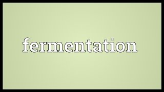 Fermentation Meaning [upl. by Dlopoel]