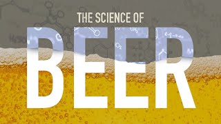 How is Beer Made [upl. by Halac]