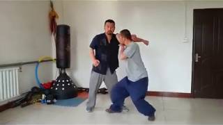 Baji fight applications  LiangYi Ding [upl. by Monson896]