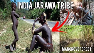 Tribes of Andaman II Jarawa Sentinelese Onge Tribe  Mangrove forest [upl. by Naerol]