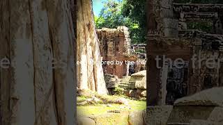 The Complex of Banteay Kdei temple from 12th Century history ancienttemple travel angkorwat [upl. by Aneladdam]