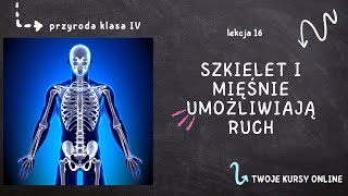 Przyroda klasa 4 Lekcja 16  Szkielet i mięśnie umożliwiają ruch [upl. by Lowenstein625]