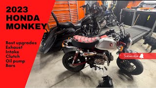 Upgraded 2023 Honda Monkey Bike  Exhaust Intake amp Fender Delete [upl. by Butta681]